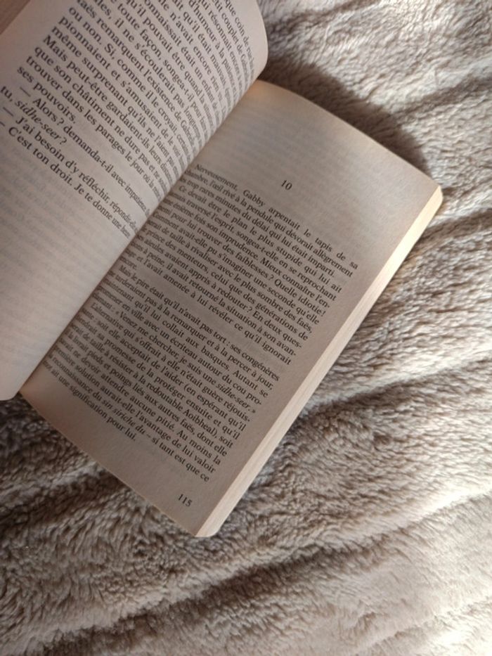 La punition d'Adam Black - photo numéro 5