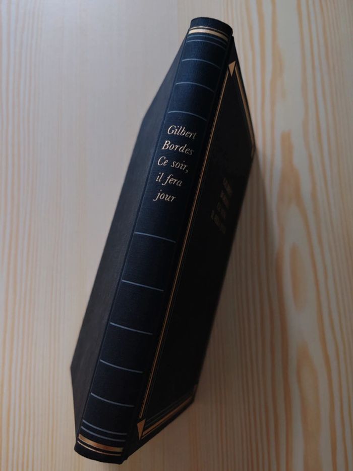 Gilbert Bordes 🌸 Ce soir, il fera jour - photo numéro 3