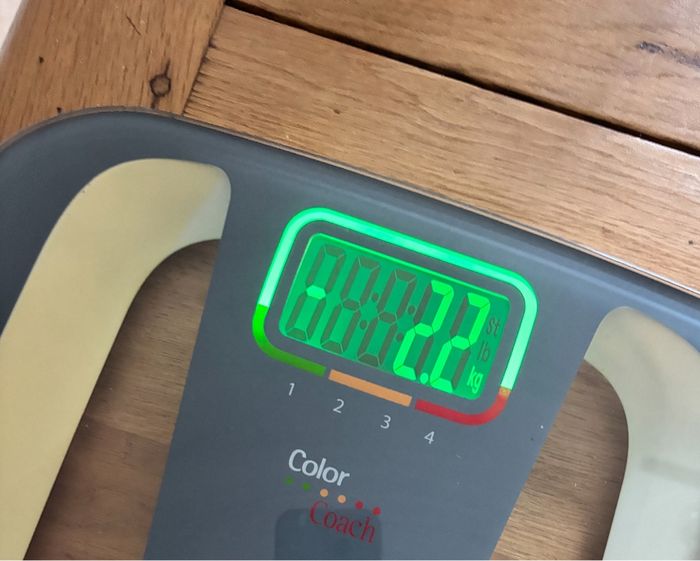 Pèse personne Terraillon balance - photo numéro 3