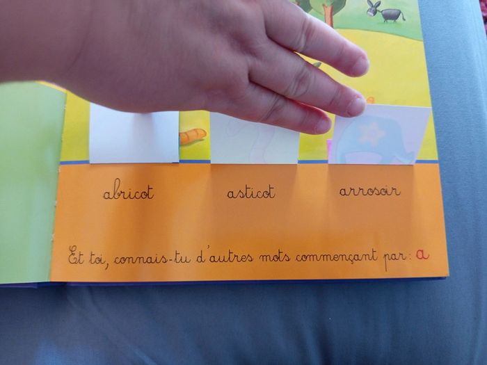 Livre - photo numéro 3