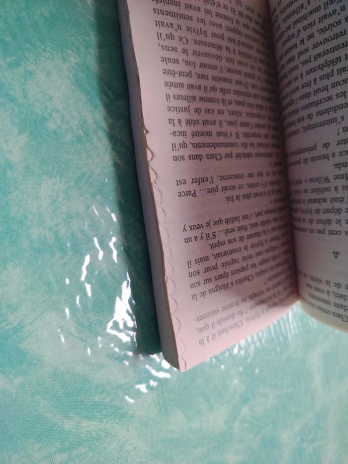 Françoise Bourdin - photo numéro 4