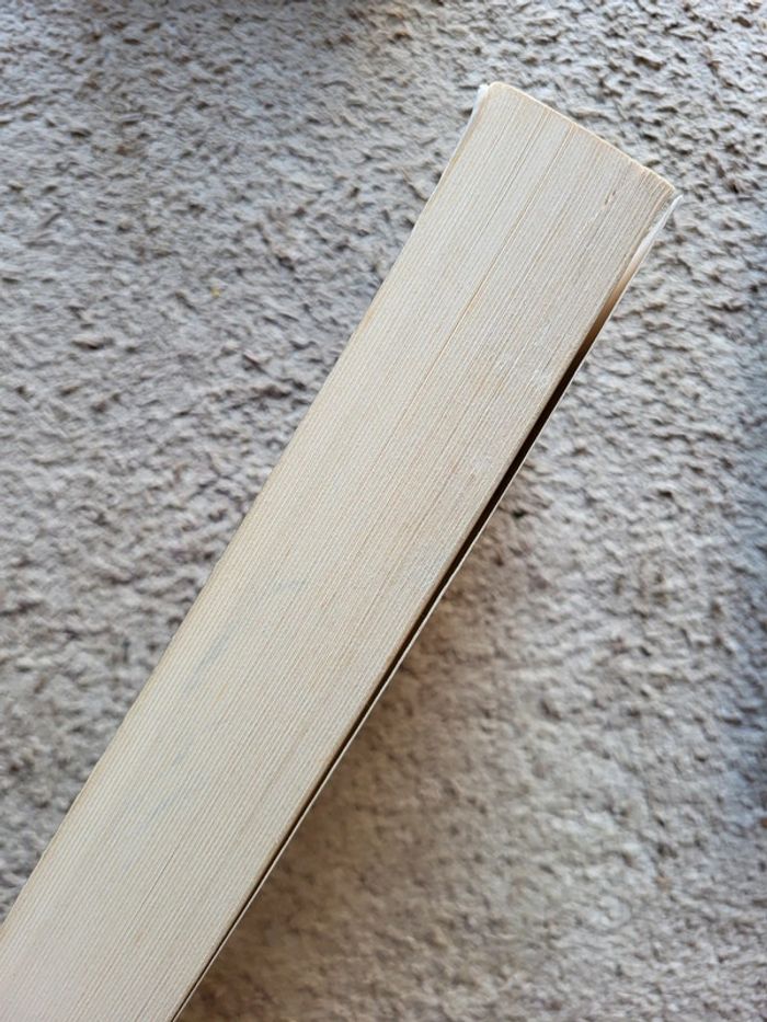 Coffret La Passion Cathare de Michel Peyramaure – 2 tomes - photo numéro 4