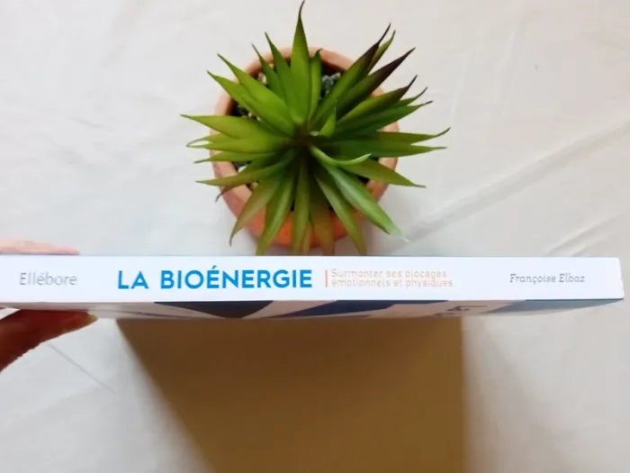 La Bioénergie - Surmonter ses blocages émotionnels et physiques - photo numéro 10
