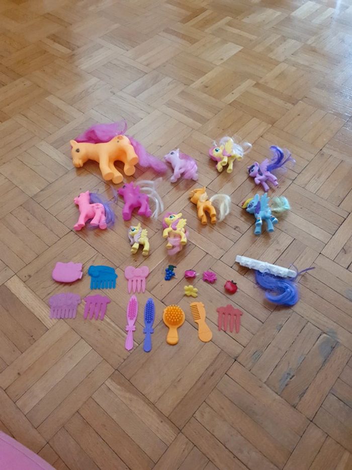 Poneys et accesoires