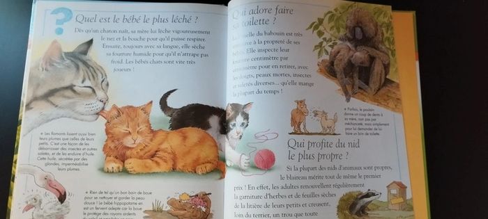 Lot de livres questions, réponses. - photo numéro 5