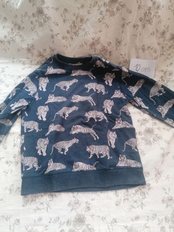 Pull zara 10 ans garçon tigre