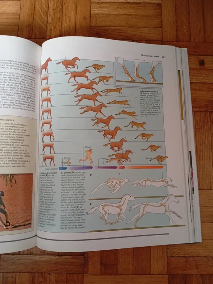 Le grand livre des secrets de la nature - photo numéro 8