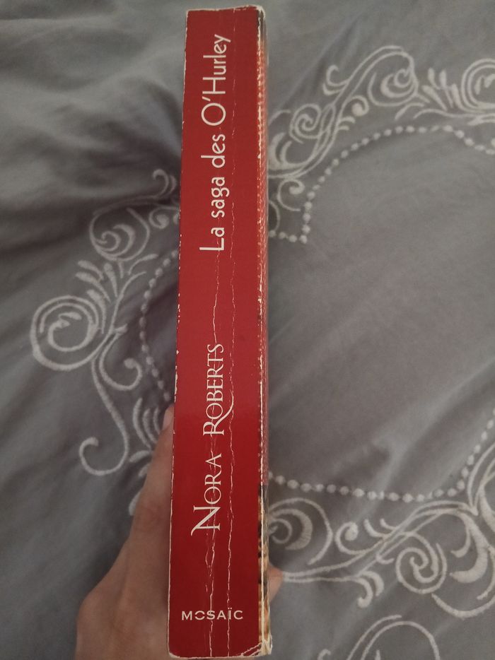 Livre (17) 📚 La saga des O'Hurley - photo numéro 3