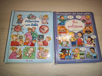 Lot de 2 livres l'imagerie des tout petits