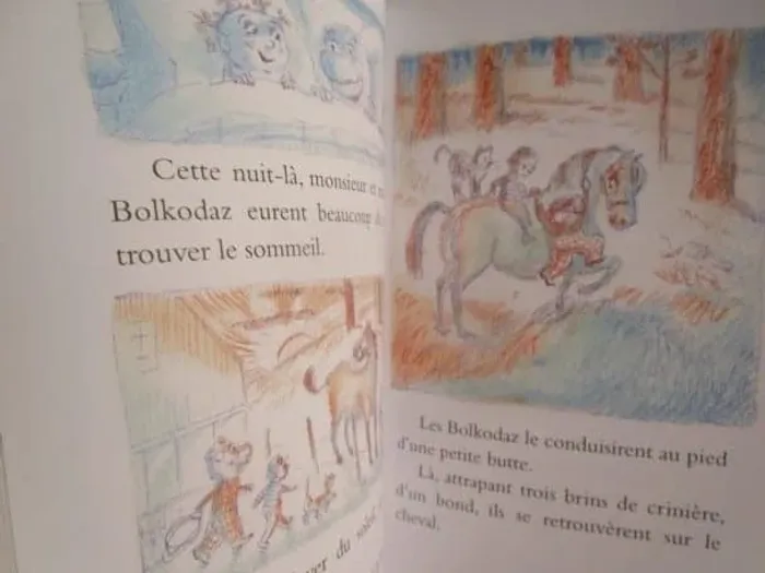 La vie trépidante des Bolkodaz - Ecole des Loisirs - photo numéro 5