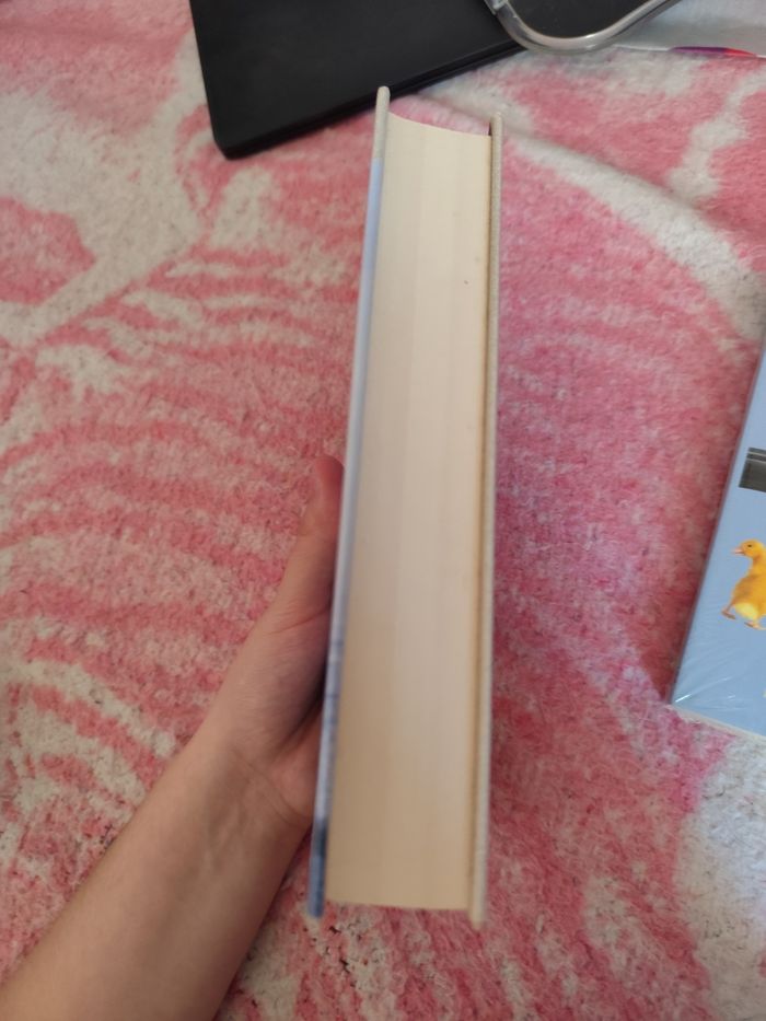 Lot de deux livres Claude Michelet - photo numéro 4