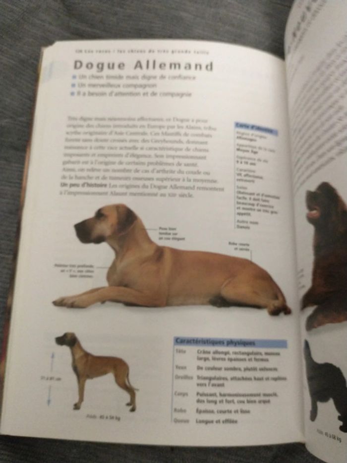 Le guide de référence du chien par docteur Bruce folge - photo numéro 7