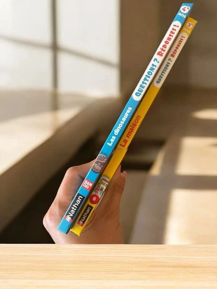 2 livres questions réponses - photo numéro 5