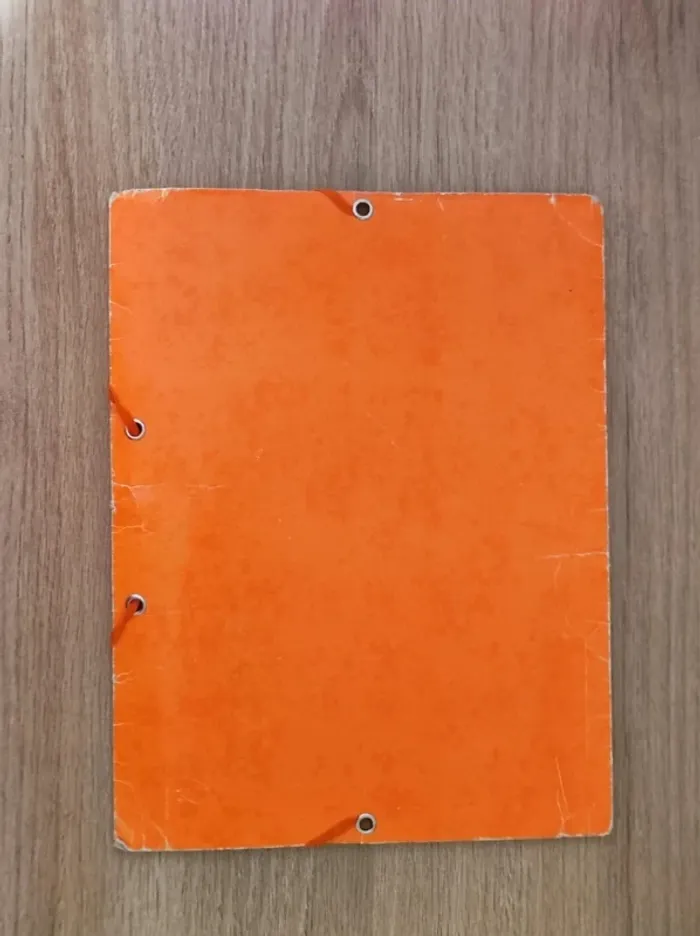 Lot 2 chemise carton vert orange 3 rabats  /Access × Elba  - A4 - photo numéro 6