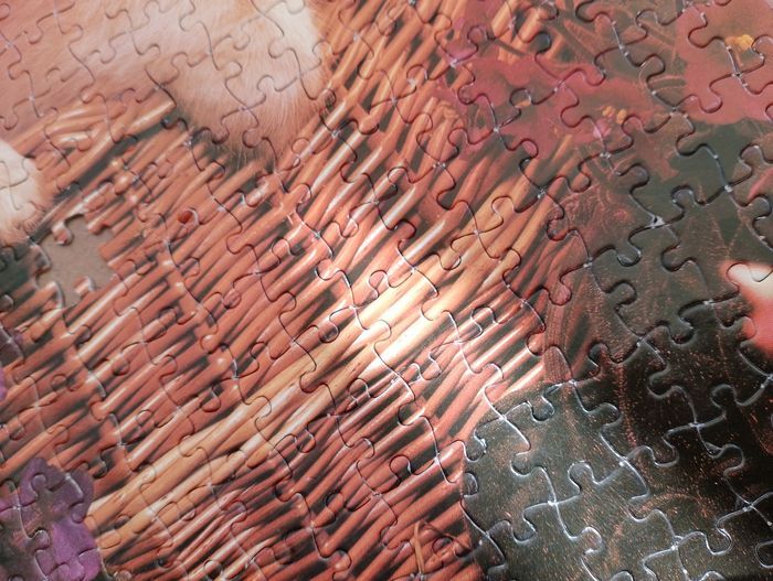 Puzzle chat et chien 500 pièces - photo numéro 3