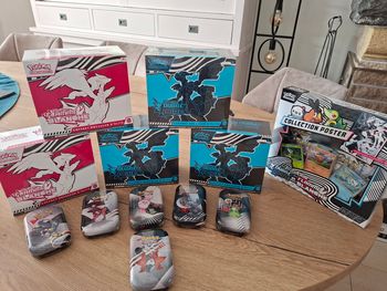 Pokémon 10.5 noire et blanc