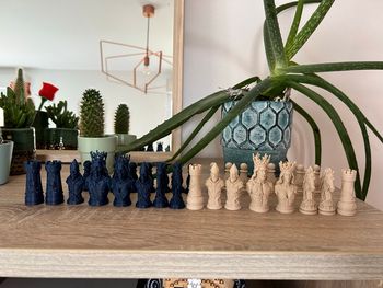 Jeu d’échec humain vs zombies 