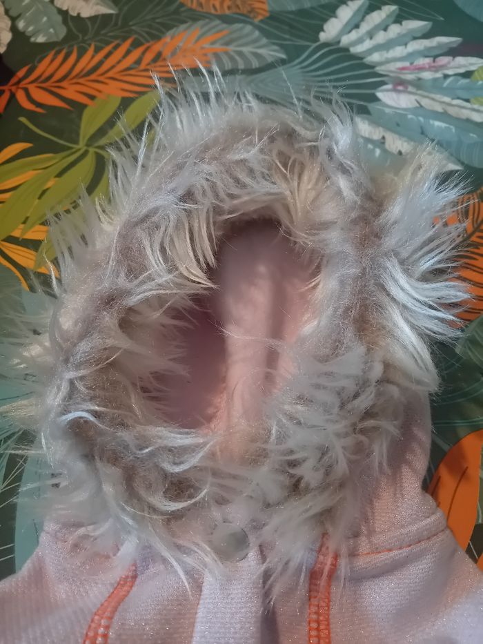 Veste pour petit chien - photo numéro 4