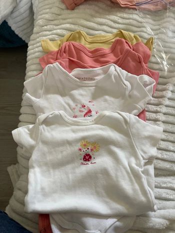 Lot de 5 bodies