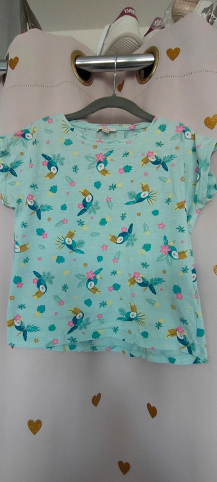 Tee shirt toucan