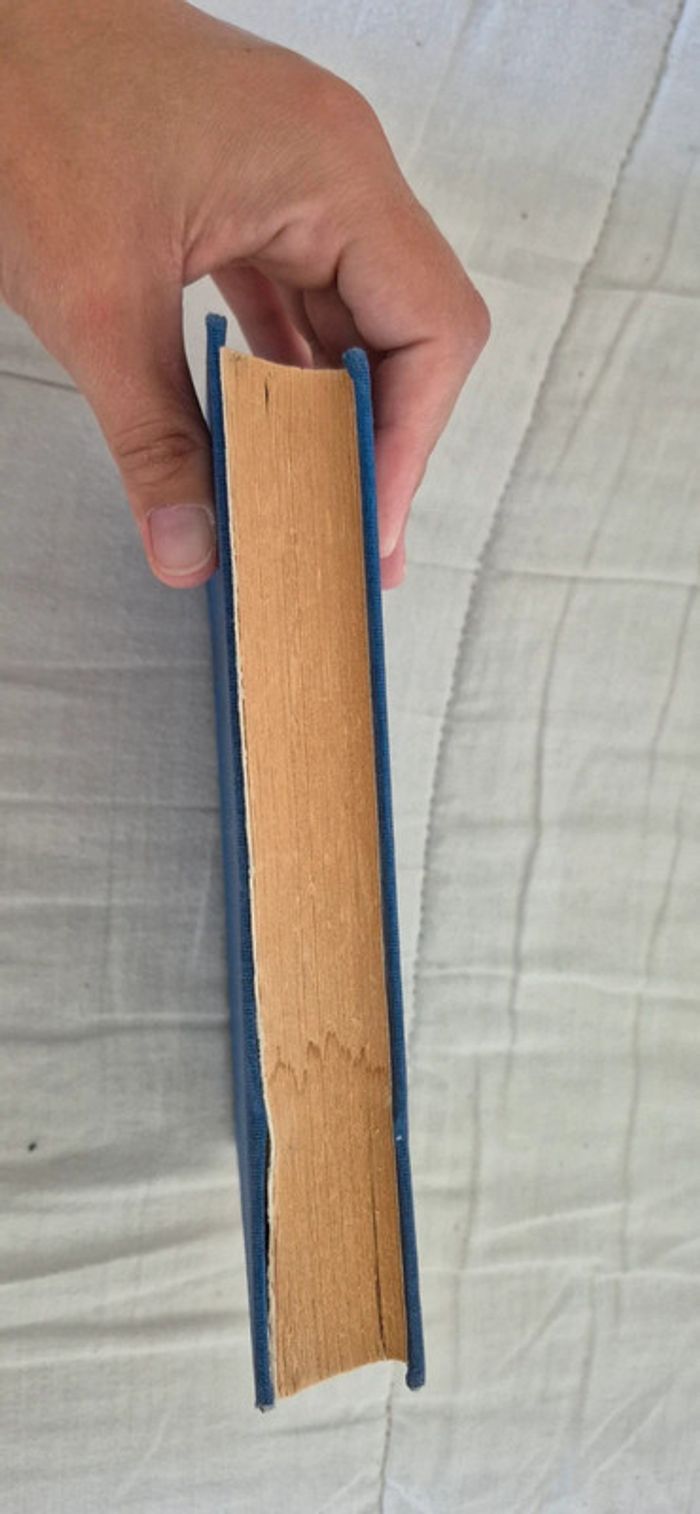 Livre ombres dans la nuit de Katherine Troy - photo numéro 3