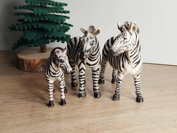 Schleich famille zèbre Animal de la savane