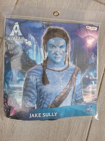 Perruque Avatar Jake Sully