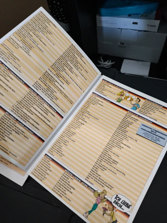 Lot de 3 petits guides l'allemand - photo numéro 6