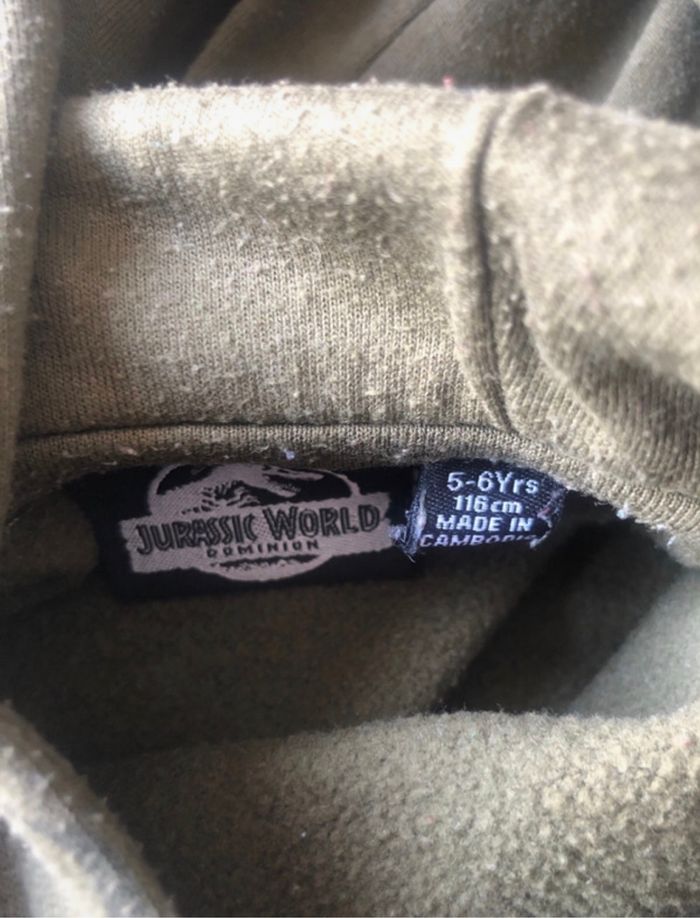 Pull à capuche jurassic Park 116 cm - photo numéro 3