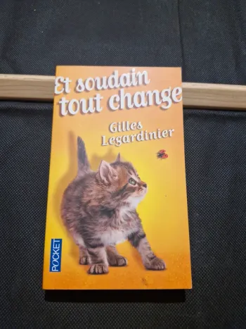Et soudain tout change - Gilles Legardinier