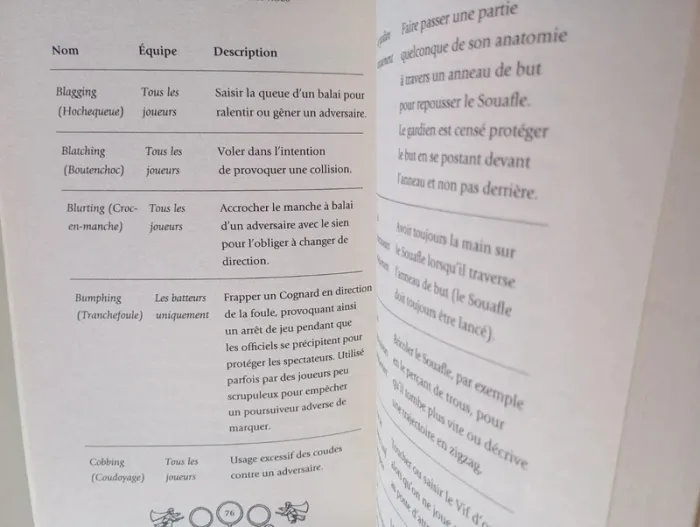 Le Quidditch à travers les âges - photo numéro 5