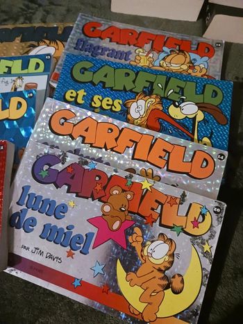 BD Garfield