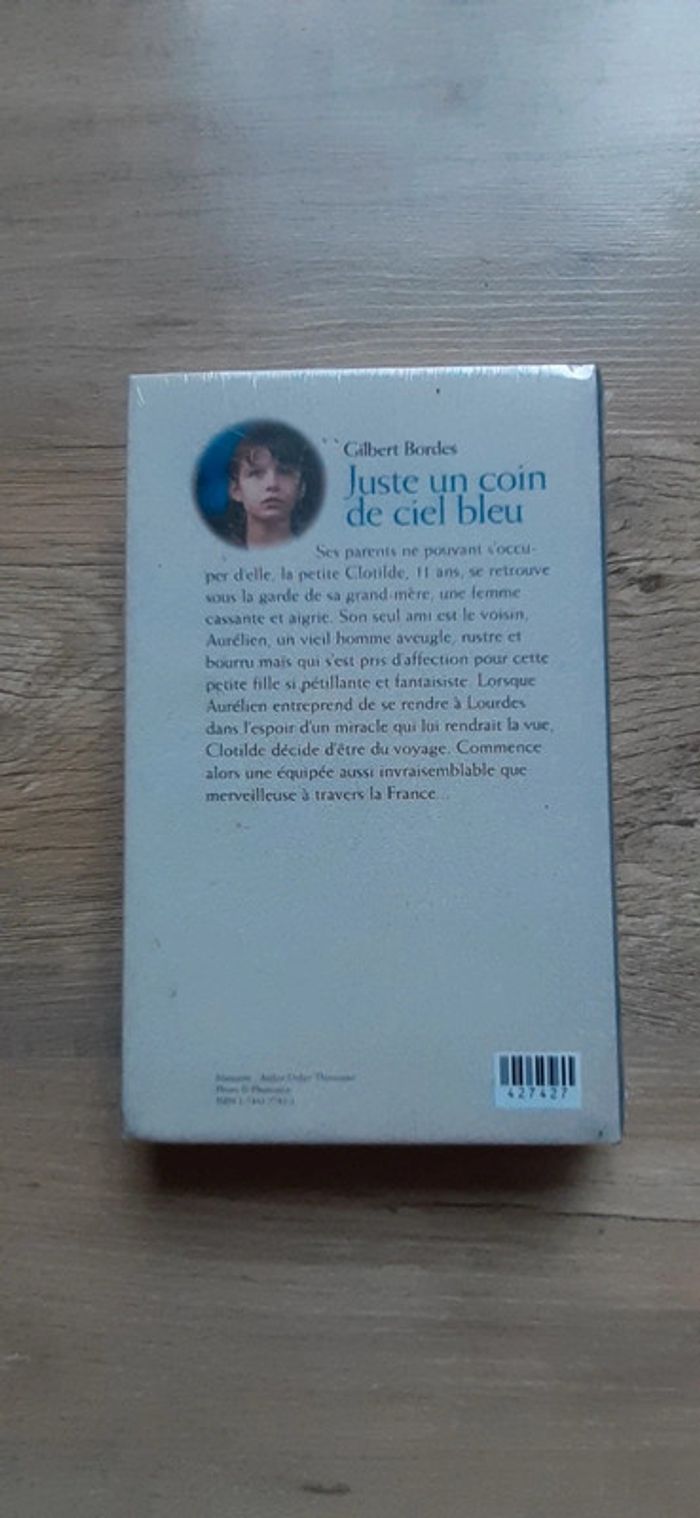 Livre NEUF Juste un coin de ciel bleu - photo numéro 2