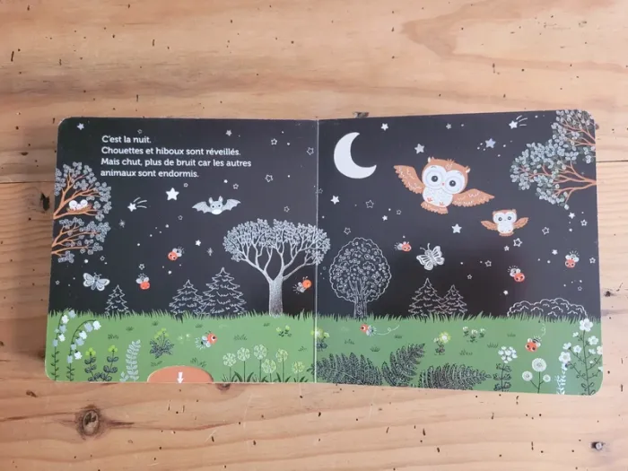 Livre petit Nathan Promenade dans les prés - photo numéro 8