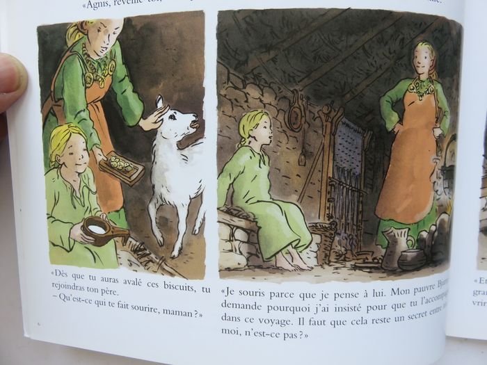 Documentaire jeunesse 8-13 ans : L'herbe verte du Groenland. Les Vikings au Xe siècle. (L'école des - photo numéro 6