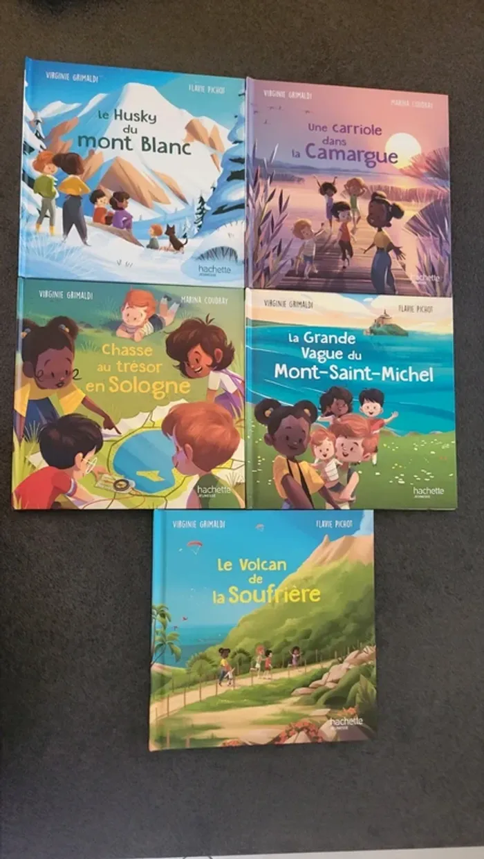Lot de 5 livres Merveilles de France