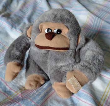 Peluche
