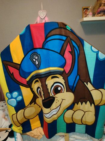 Plaide patt patrouille