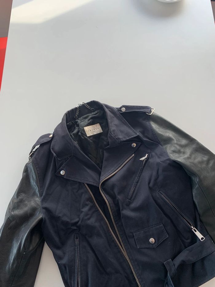 Magnifique Perfecto Sandro mi saison - photo numéro 8