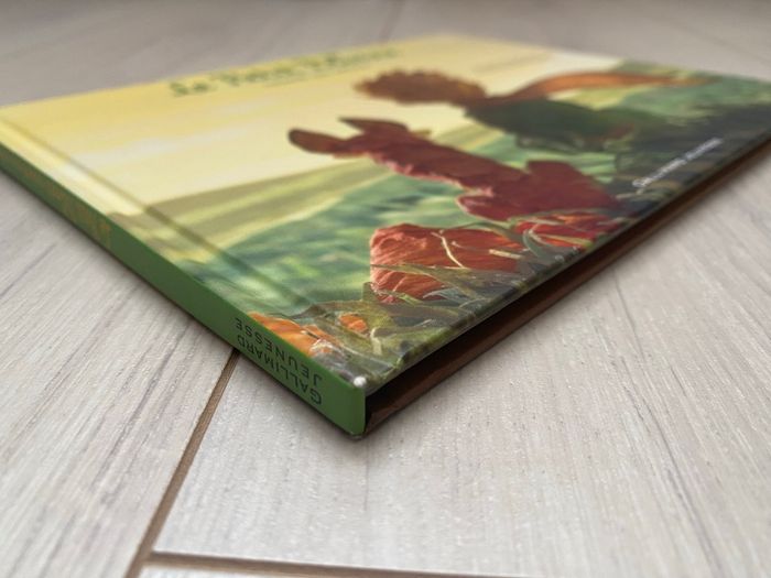 Livre Le Petit Prince raconté aux enfants - photo numéro 7