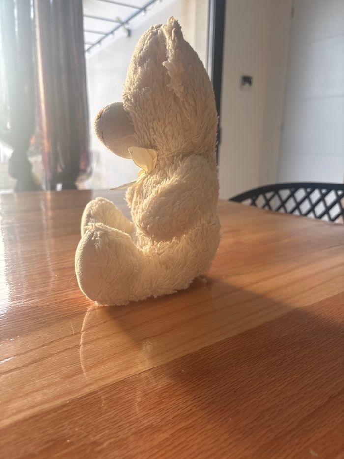 Ours en peluche - photo numéro 2