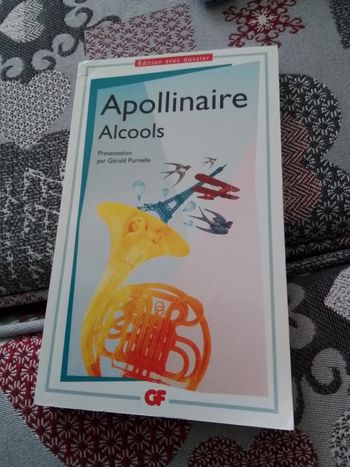 Livre de poche Apollinaire Alcools