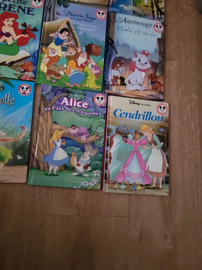 Lot livres disney - photo numéro 5
