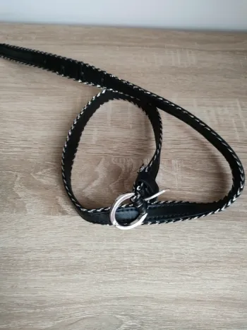 Ceinture