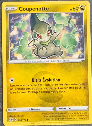 Coupenotte Stars Étincelantes