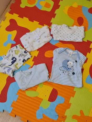 Lot de 5 bodys Taille 3 mois .