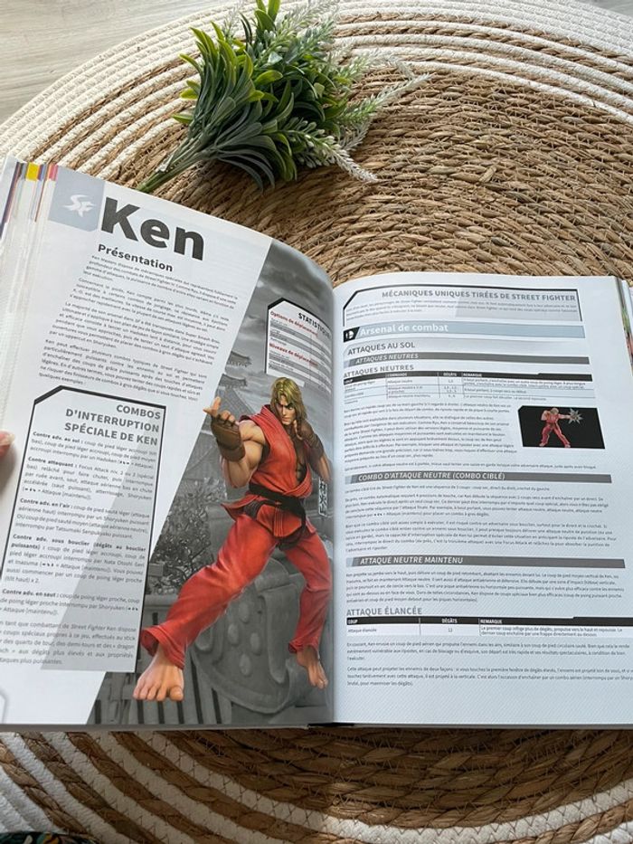 Guide - Super SmashBros Ultimate - photo numéro 8