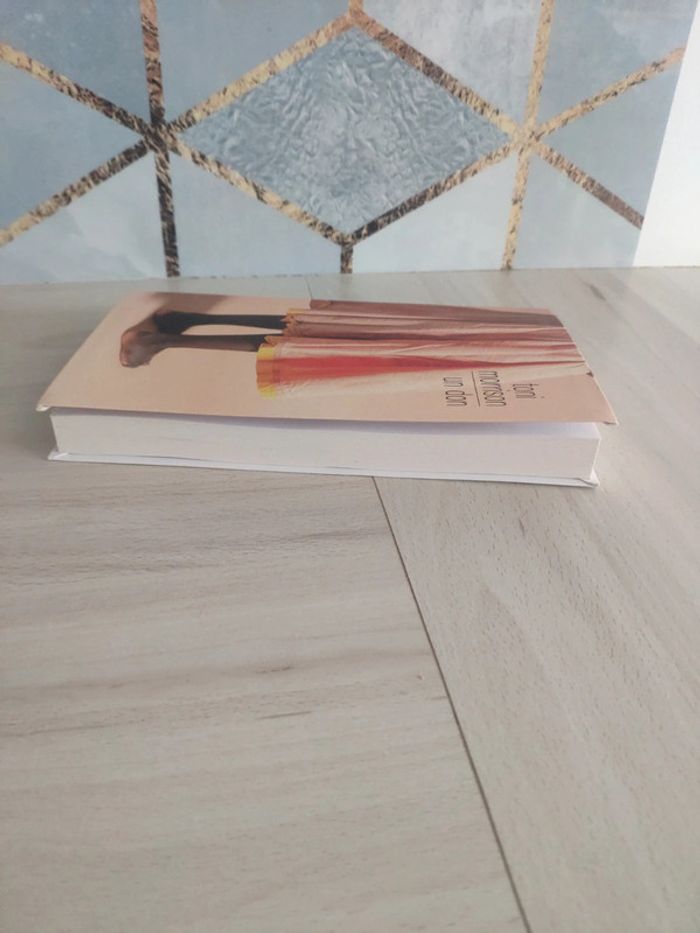 Livre Un don Toni Morrison roman sur l'esclavage - photo numéro 4