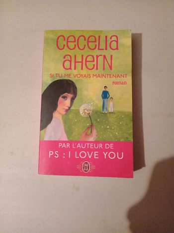 Si tu me voyais maintenant
