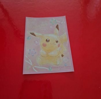 1 sleeve pokemon